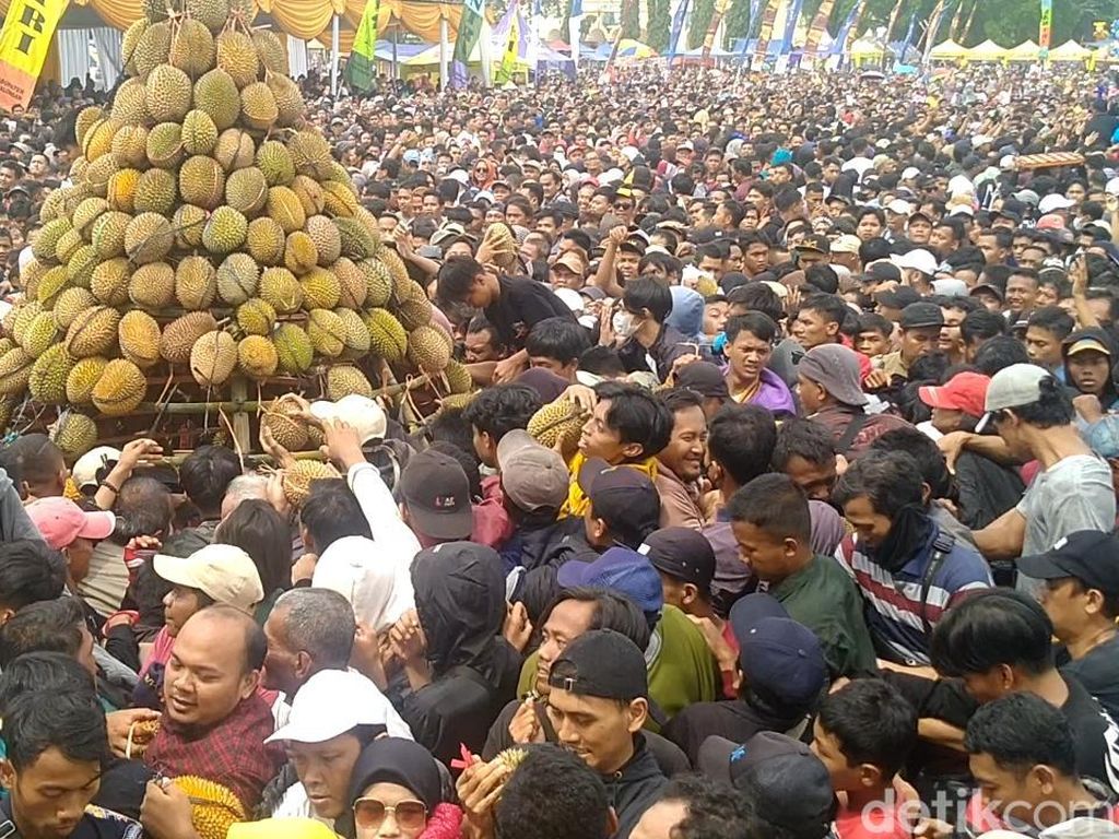 Festival Durian di Pekalongan Ricuh, Sejumlah Warga Terluka dan Pingsan